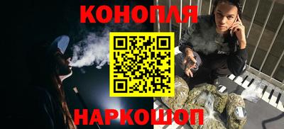 прущие грибы Усть-Илимск