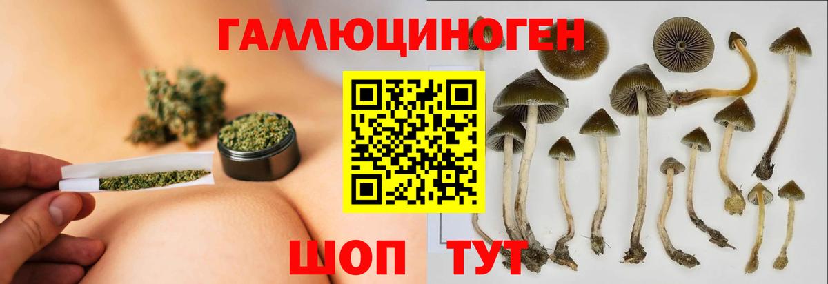 Галлюциногенные грибы Magic Shrooms  Псилоцибиновые грибы GOLDEN TEACHER  цена наркотик  Вход с VPN  Бугуруслан 